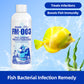 🎁Hot Sale 40% OFF⏳Fish Tank Water Purifier Algae Remover