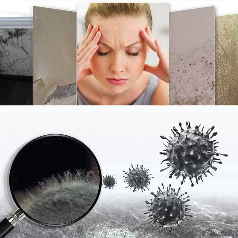 🌬️Mildew Removal Spray