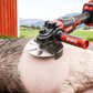 🧰Labor-Saving Pig Hair Remover Scraper Disc