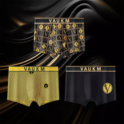 🔥Men's Luxury Magnetic Breathable Briefs