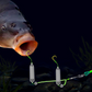 🎣⚡ Double-Hook Reverse Bottom Rig! Upgraded version boosts hook-up rate by 50% – say goodbye to snagging! 🎣