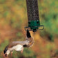 🎁Hot Sale 40% OFF⏳Anti-Squirrel Bird Feeder