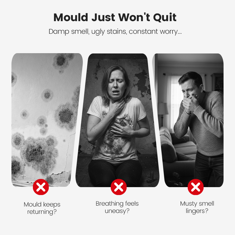 🔥2026 Hot Sale🔥Highly Effective Mould Removal Spray - Prevents Mould Regrowth