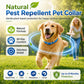 🎉 FLASH DEAL 45% OFF🐶🐱 – Plant-Based Flea & Tick Collar 🌿 Up to 8 Months Protection, Slow-Release Oils, Water-Resistant 💦 Repels Mosquitoes & Larvae, Comfortable & Safe for Daily Wear 🐕