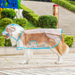 💥2026 HOT SALE💞50K+ SOLD! ✨ 50% OFF!💥Transparent Raincoat For Dog