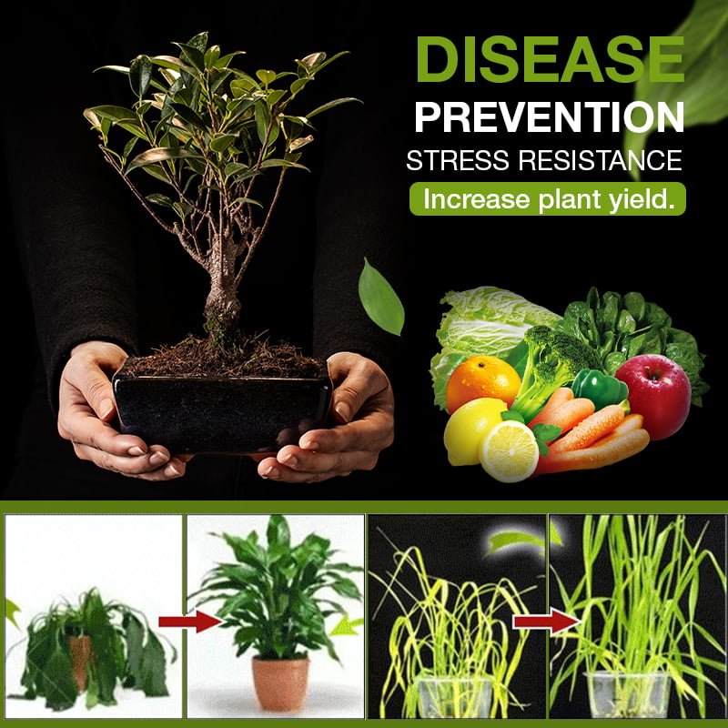 🌱Soil Activated Treasure-You Will Be Amazed!🌿