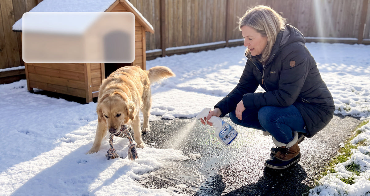 Kennels winter application