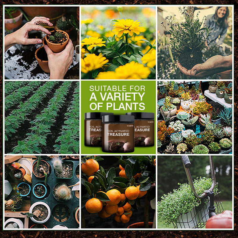 🌱Soil Activated Treasure-You Will Be Amazed!🌿