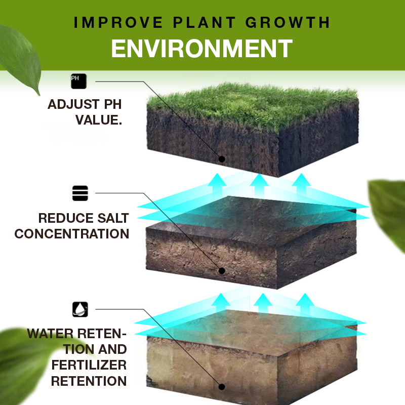 🌱Soil Activated Treasure-You Will Be Amazed!🌿