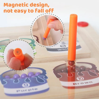 🔥Hot Sale 49% OFF - 2025 Newest Magnetic Colour and Number Maze🎁
