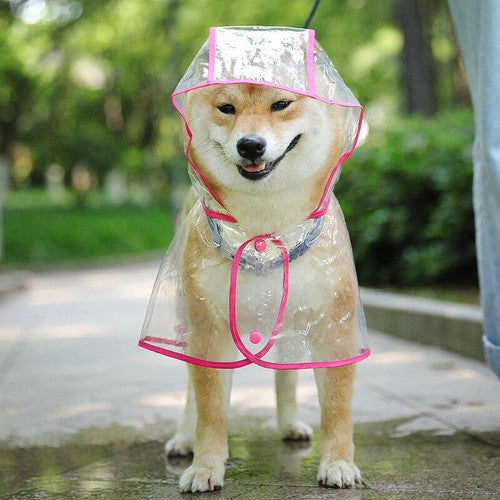 💥2026 HOT SALE💞50K+ SOLD! ✨ 50% OFF!💥Transparent Raincoat For Dog