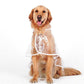 💥2026 HOT SALE💞50K+ SOLD! ✨ 50% OFF!💥Transparent Raincoat For Dog