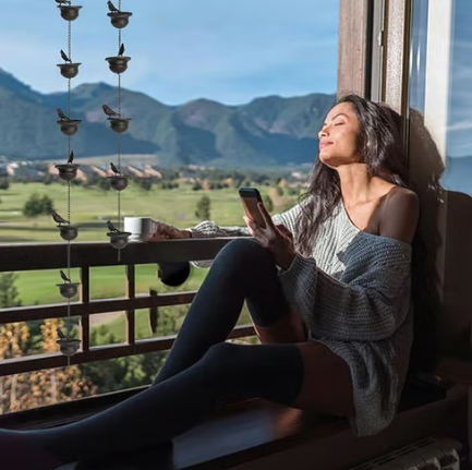 🔥Limited Time Sale 49% OFF🔥Where Rain Meets Art – Decorative Rain Chain with Bird Bath Design