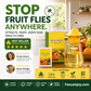 🥳2026 HOT SALE🥳💞50K+ SOLD!🦟🚫 50% OFF! Hanging Fly Trap – 4 entry holes, lures & captures flies fast. Indoor & outdoor use. A summer essential for kitchen & garden! 🌿✨