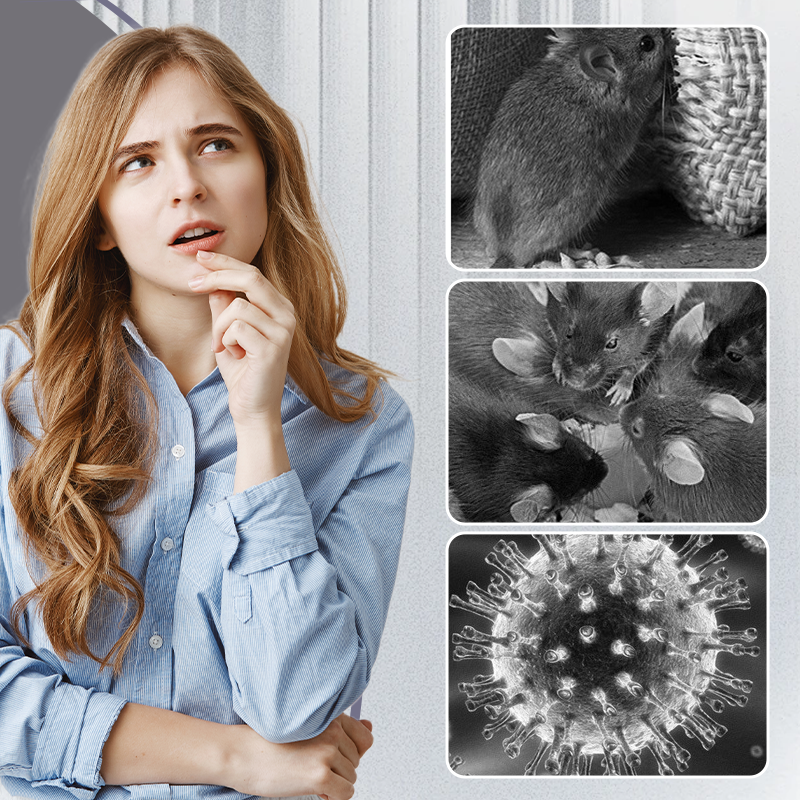 Extra Large Rat Glue Trap Pads