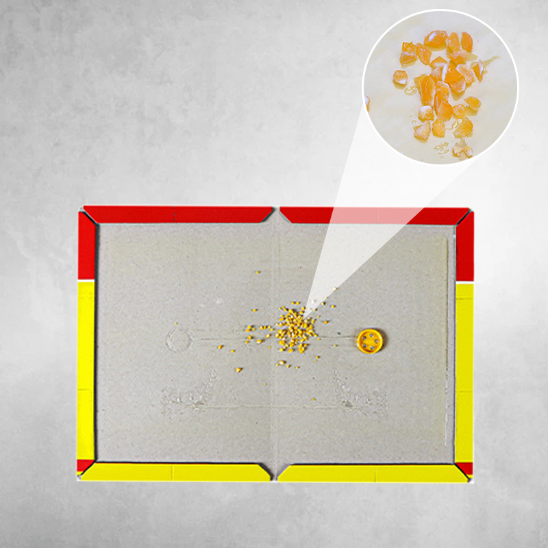 Extra Large Rat Glue Trap Pads