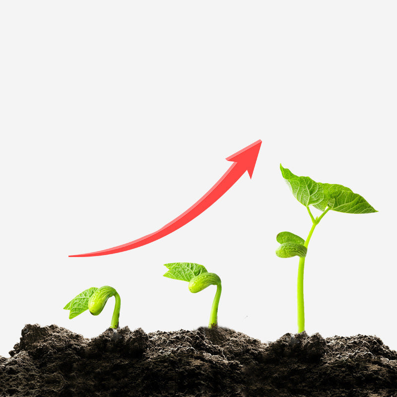 🌿Anti-caking, acidic and alkaline soil activator🌱,💥💥 limited time offer