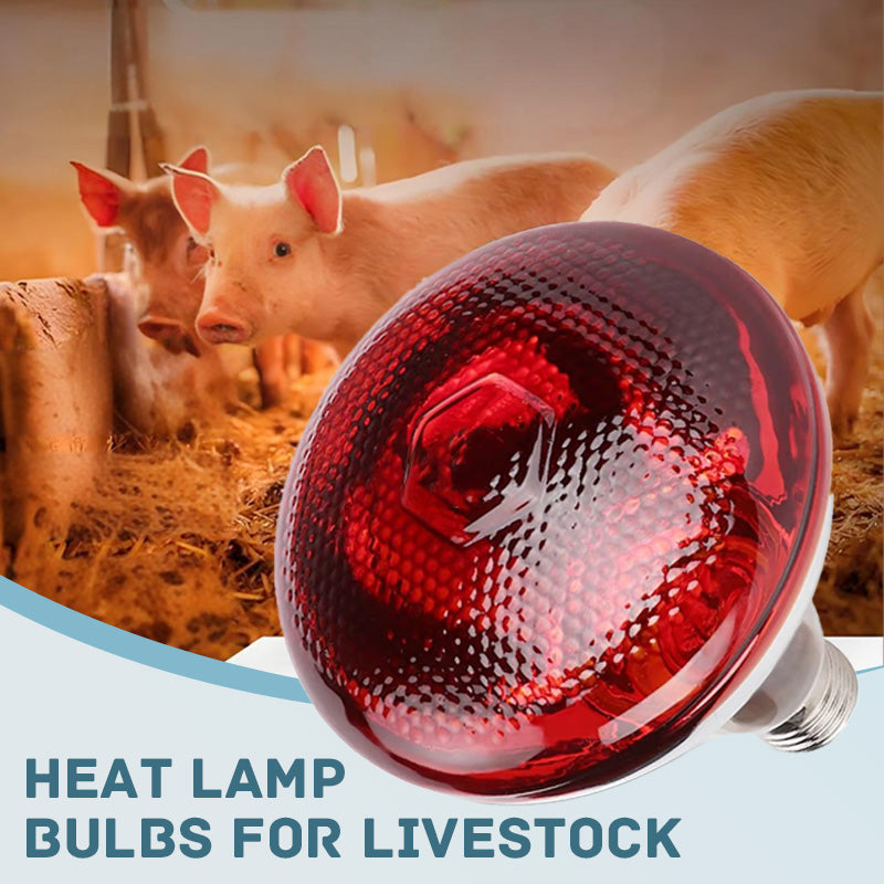 ✨【Waterproof Energy-Saving Livestock Heat Lamp Bulbs】✨