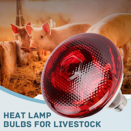 ✨【Waterproof Energy-Saving Livestock Heat Lamp Bulbs】✨