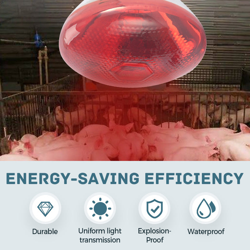 ✨【Waterproof Energy-Saving Livestock Heat Lamp Bulbs】✨