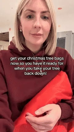 🎅Christmas Sale 50% OFF🎄Christmas Tree Durable Waterproof Storage Bag