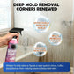 ⚡50K+ SOLD💕Multi-Surface Bathroom Cleaner for Mold & Limescale🛁