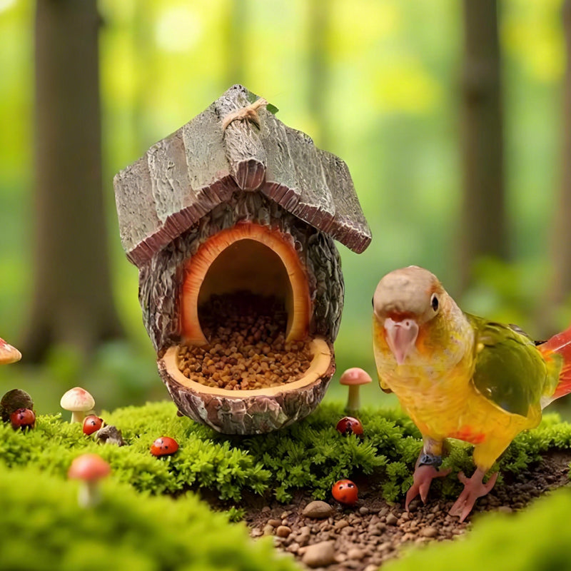 🔥2026 New Arrivals: Outdoor Bird Feeder for Garden Decoration