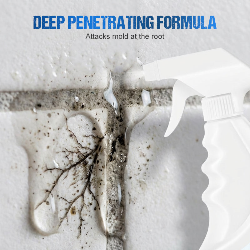 500ml Wall Mold & Mildew Remover Spray