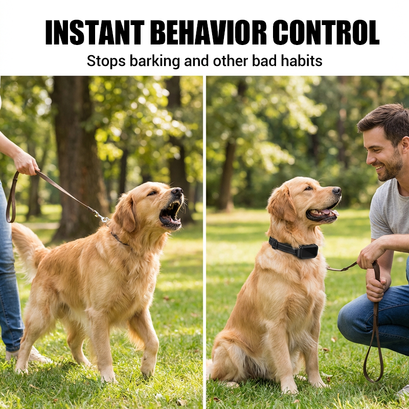Waterproof Remote Dog Training Collar with Vibration & Shock