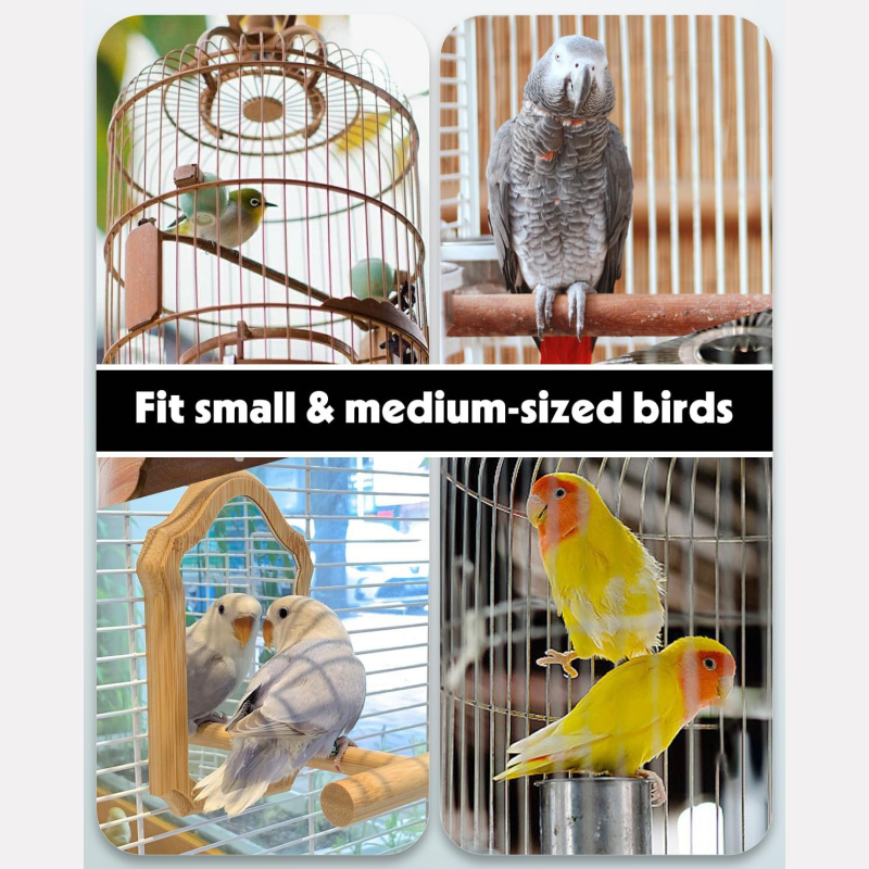 ✨ A 2-in-1 bird feeder and waterer—keep pet care neat and tidy! ✨