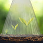 🔥Buy 20 Get 20 Free🔥 Seedling Protective Covers — Thickened PET Material — Protects Young Plants Against Birds and Frost Damage