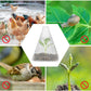 🔥Buy 20 Get 20 Free🔥 Seedling Protective Covers — Thickened PET Material — Protects Young Plants Against Birds and Frost Damage