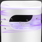 🦟UV Fly Trap with Transparent Catch Box