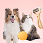 🐶🐱2-in-1 Pet Dematting & Deshedding Comb~Limited time 49% OFF – Premium quality – Bestseller! 🔥✨