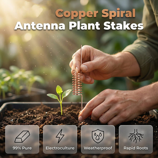 🔥Limited-time offer-Copper Spiral Antenna Plant Stakes