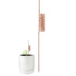 🔥Limited-time offer-Copper Spiral Antenna Plant Stakes