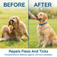 🎉 FLASH DEAL 45% OFF🐶🐱 – Plant-Based Flea & Tick Collar 🌿 Up to 8 Months Protection, Slow-Release Oils, Water-Resistant 💦 Repels Mosquitoes & Larvae, Comfortable & Safe for Daily Wear 🐕