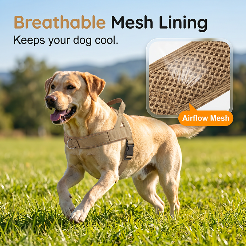 Breathable Summer Dog Saddle Harness
