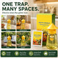 🥳2026 HOT SALE🥳💞50K+ SOLD!🦟🚫 50% OFF! Hanging Fly Trap – 4 entry holes, lures & captures flies fast. Indoor & outdoor use. A summer essential for kitchen & garden! 🌿✨
