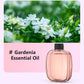 ⏳🔥LIMITED-TIME 50% OFF! ⏰🌸 Automatic Aromatherapy Diffuser – Fresh Fragrance, Relaxing Atmosphere 🎁✨