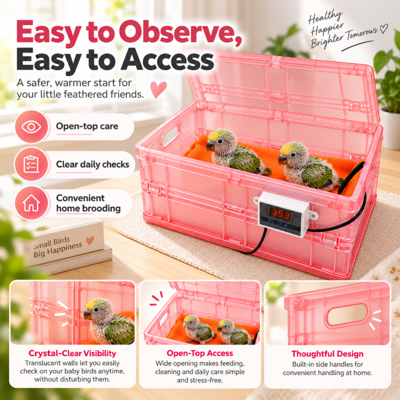 Foldable Parrot Brooder Box with Digital Thermostat