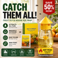 🥳2026 HOT SALE🥳💞50K+ SOLD!🦟🚫 50% OFF! Hanging Fly Trap – 4 entry holes, lures & captures flies fast. Indoor & outdoor use. A summer essential for kitchen & garden! 🌿✨