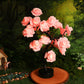 🎁New Year Sale 49% OFF⏳Forever Rose Tree Lights, Eternal Love