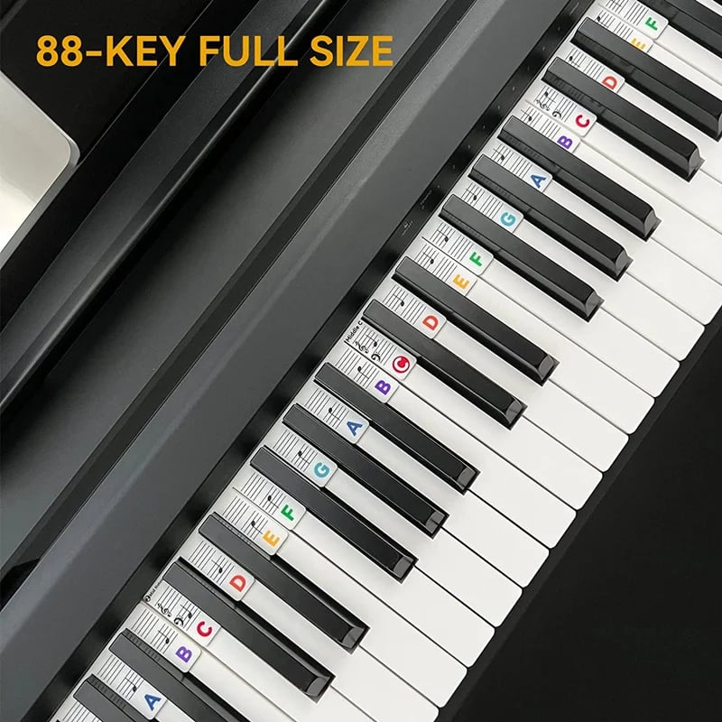 🎹Removable Piano Keyboard Note Labels - newbeew