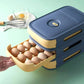 🎁Christmas 49% OFF⏳2024 New Drawer Egg Storage Box - newbeew