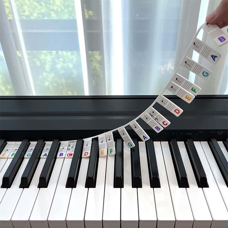 🎹Removable Piano Keyboard Note Labels - newbeew