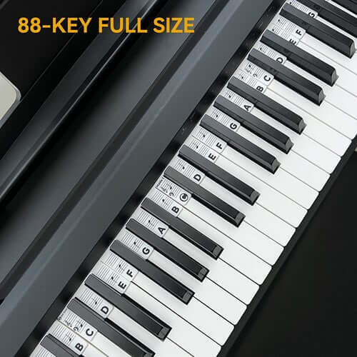 🎹Removable Piano Keyboard Note Labels - newbeew