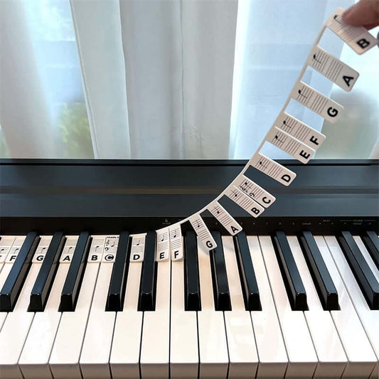 🎹Removable Piano Keyboard Note Labels - newbeew